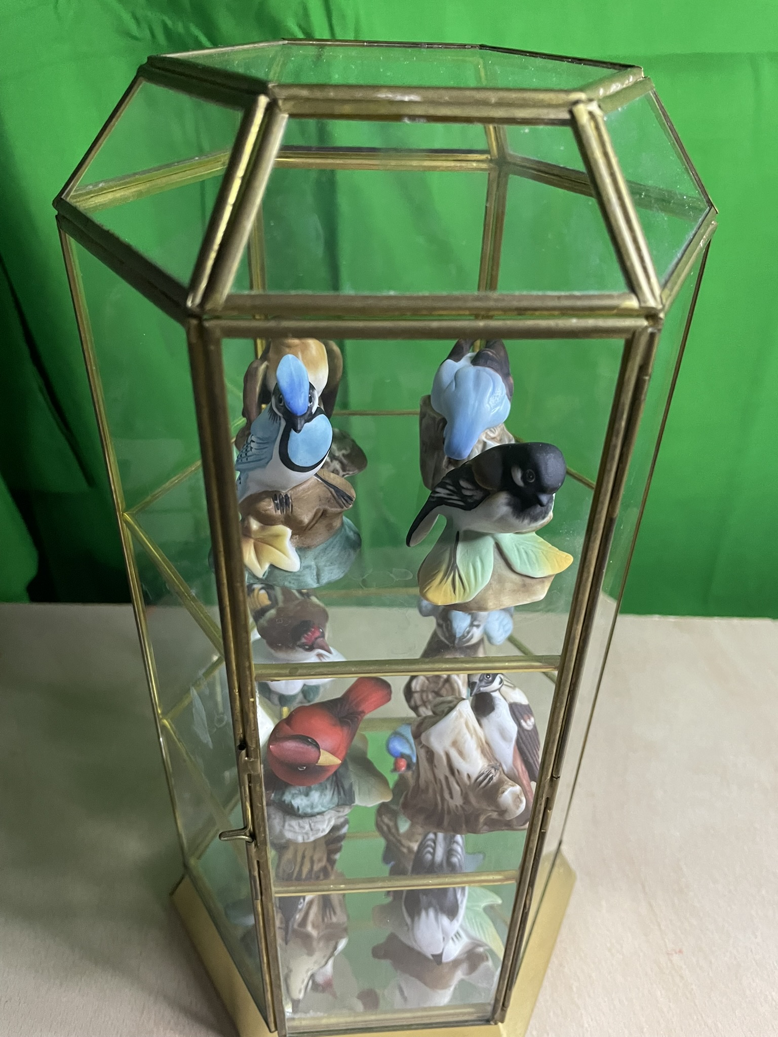 Dispaly case with porcelain birds