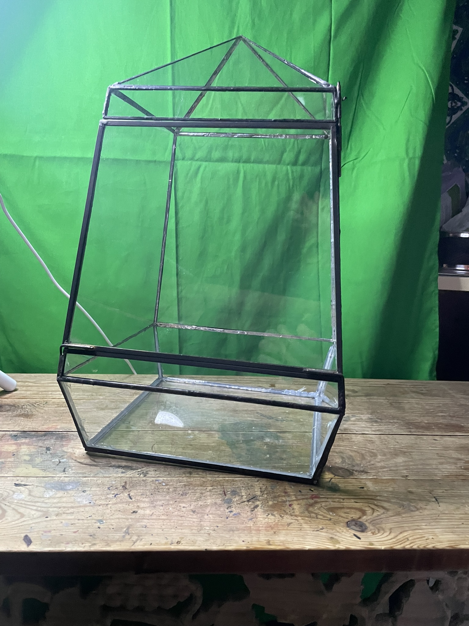 Medium size terrarium