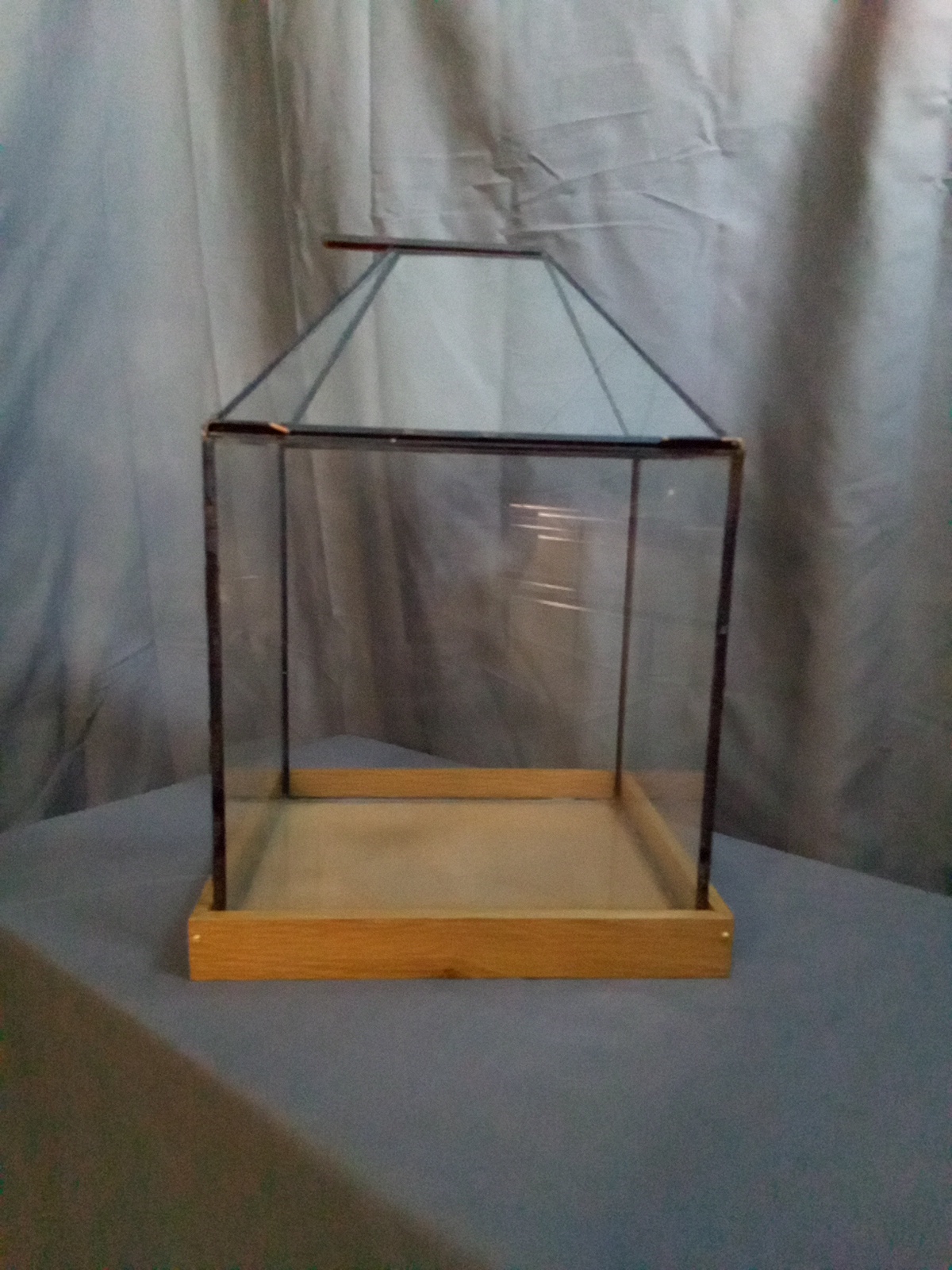 Rectangular shaped terrarium