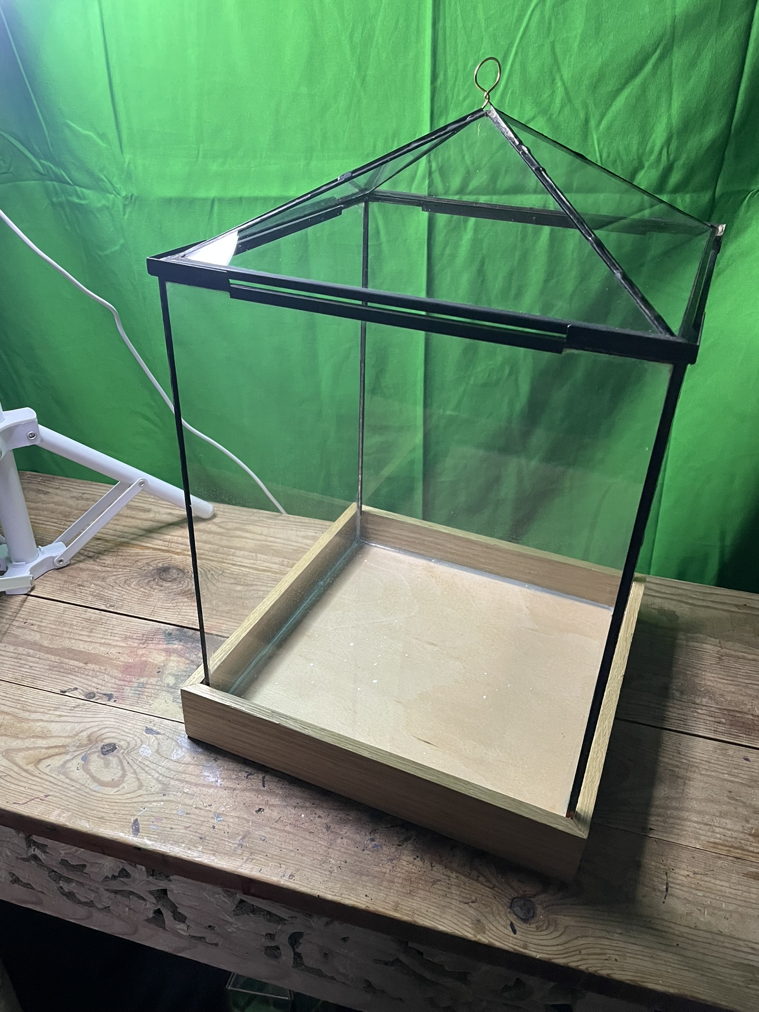 Square shaped terrarium